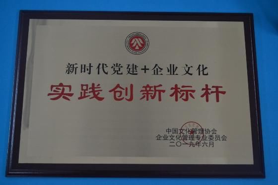 1561953174806327.jpg 9.jpg